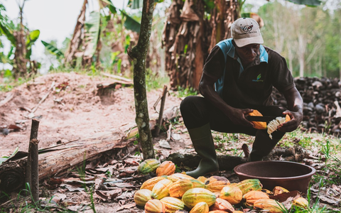 Welttag gegen Kinderarbeit: Trotz steigender Kakaopreise arbeiten weiter Millionen von Kindern illegal für unsere Schokolade - Foto: presseportal.de Welttag gegen Kinderarbeit: Trotz steigender Kakaopreise arbeiten weiter Millionen von Kindern illegal für unsere Schokolade - Foto: presseportal.de