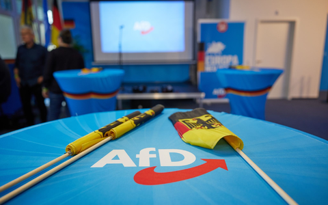Wie geht es weiter für die AfD im EU-Parlament? Die ID-Fraktion trennte sich kurz vor der Europawahl von der Partei. - Foto: Jörg Carstensen/dpa