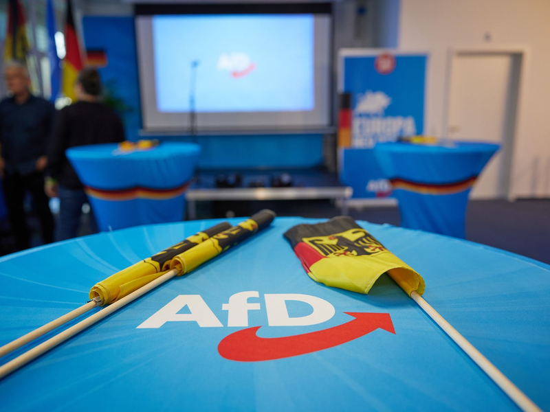 Wie geht es weiter für die AfD im EU-Parlament? Die ID-Fraktion trennte sich kurz vor der Europawahl von der Partei. - Foto: Jörg Carstensen/dpa