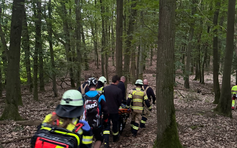 FW-EN: Brandmeldealarm im Kraftwerk - Verletzten Mountainbikefahrer gerettet - Bussard gerettet - Foto: presseportal.de FW-EN: Brandmeldealarm im Kraftwerk - Verletzten Mountainbikefahrer gerettet - Bussard gerettet - Foto: presseportal.de