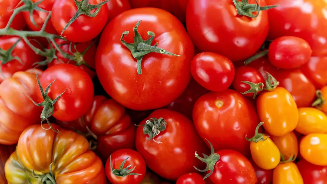 ZDF-Doku über das Lieblingsgemüse der Deutschen: planet e.: Genuss mit Beigeschmack – Tomaten - Bild: presseportal.de
