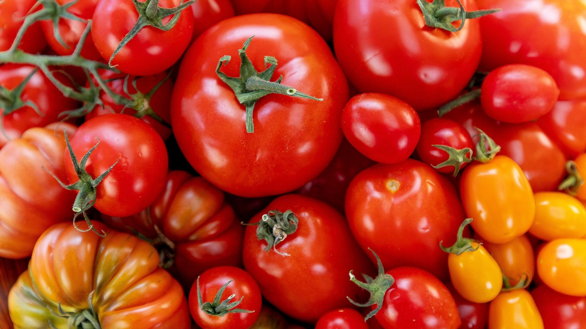 ZDF-Doku über das Lieblingsgemüse der Deutschen: 