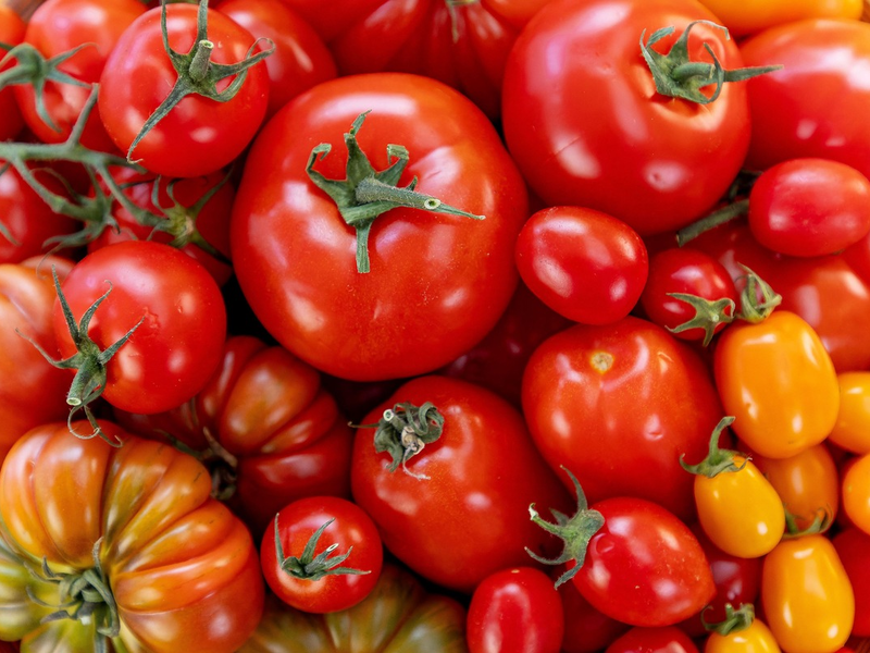 ZDF-Doku über das Lieblingsgemüse der Deutschen: planet e.: Genuss mit Beigeschmack – Tomaten - Foto: presseportal.de