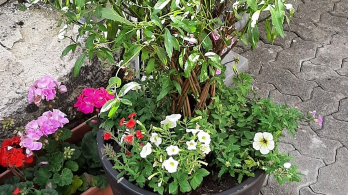 POL-SI: Polizei überführt 