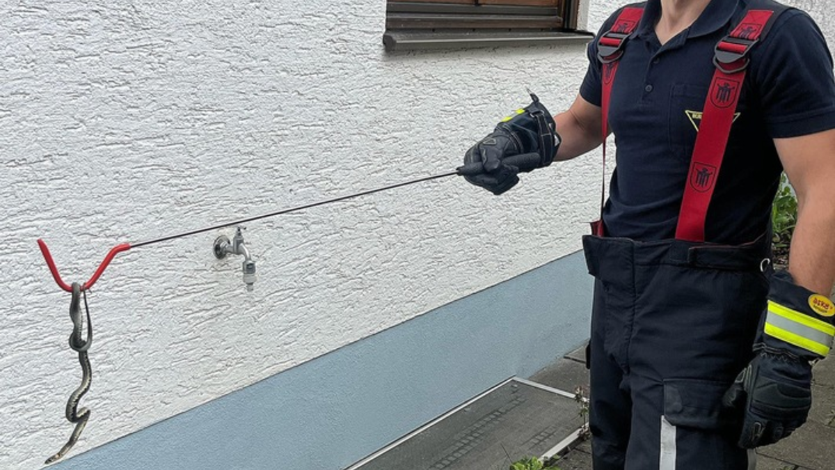 FW-M: Tierischer Tag in der Landeshauptstadt (Stadtgebiet) - Foto: presseportal.de