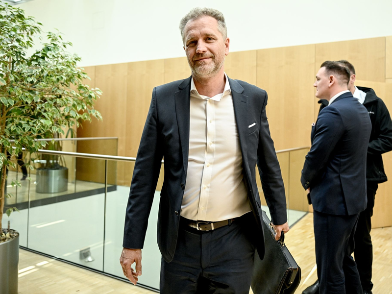 Im Fall Bystron haben Ermittler auch Objekte in Tschechien durchsucht. - Foto: Britta Pedersen/dpa