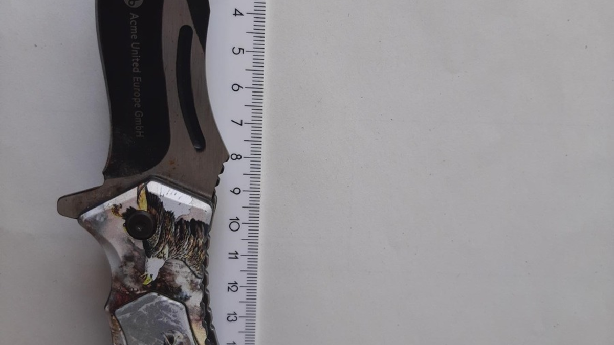 BPOL-HRO: Kinder mit Messer bedroht - Foto: presseportal.de