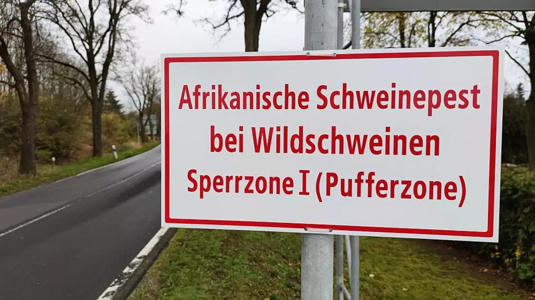 Warnschild Afrikanische Schweinepest (Archiv) - Bild: über dts Nachrichtenagentur
