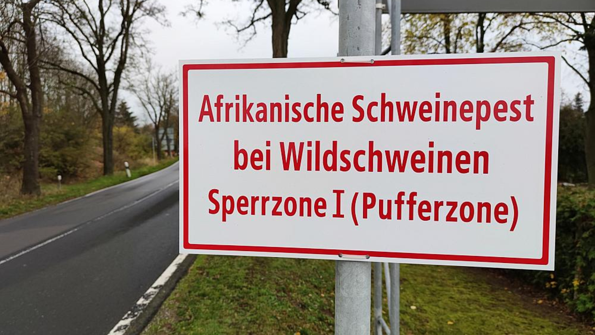 Warnschild Afrikanische Schweinepest (Archiv) - Foto: über dts Nachrichtenagentur