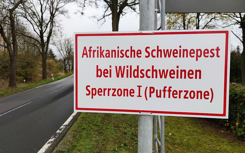 Warnschild Afrikanische Schweinepest (Archiv) - Foto: über dts Nachrichtenagentur