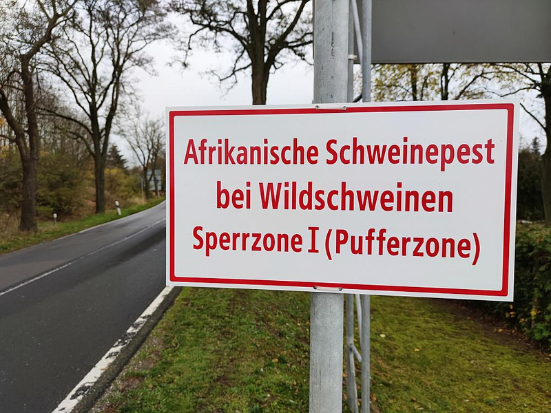 Warnschild Afrikanische Schweinepest (Archiv) - Foto: über dts Nachrichtenagentur