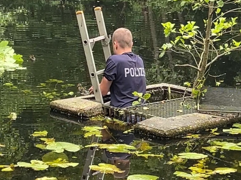 POL-PDTR: Ente gut, alles gut.... spektakuläre Entenbabyrettung am Schlossweiher - Foto: presseportal.de