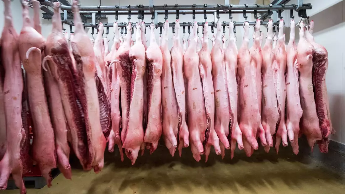 China erschwert mit Zöllen den Import von Schweinefleisch aus der EU. (Symbolbild) - Bild: Christian Charisius/dpa