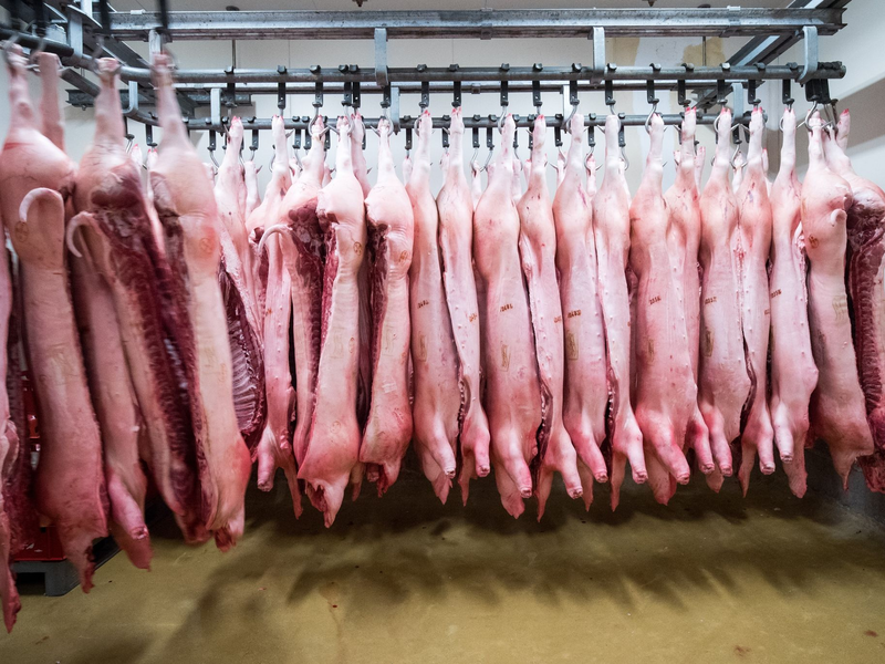 Wohl als Reaktion auf die von der EU angedrohten Strafzölle auf chinesische E-Autos hat China eine Anti-Dumpinguntersuchung gegen Schweinefleisch aus der EU angekündigt. - Foto: Christian Charisius/dpa
