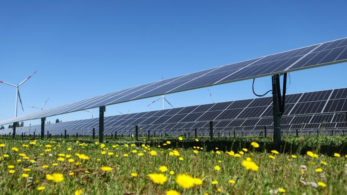 Solarenergie mit Weitblick und Rücksicht / Intersolar 2024: GOLDBECK SOLAR teilt Visionen und Innovationen - Foto: presseportal.de