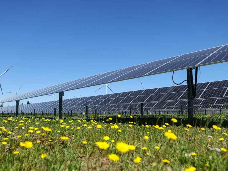 Solarenergie mit Weitblick und Rücksicht / Intersolar 2024: GOLDBECK SOLAR teilt Visionen und Innovationen - Foto: presseportal.de