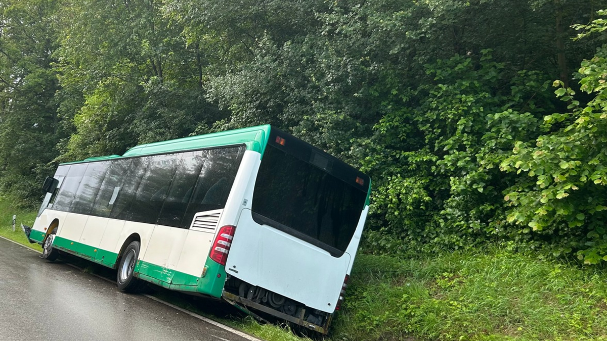 POL-PDKL: Alleinunfall mit Schulbus - Foto: presseportal.de