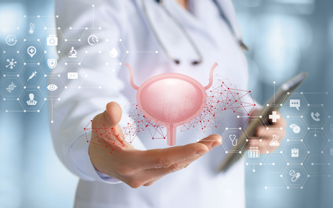 Neue Option bei Harnwegsinfekten - Foto: Adobe Stock/natali_mis über pressetext.de