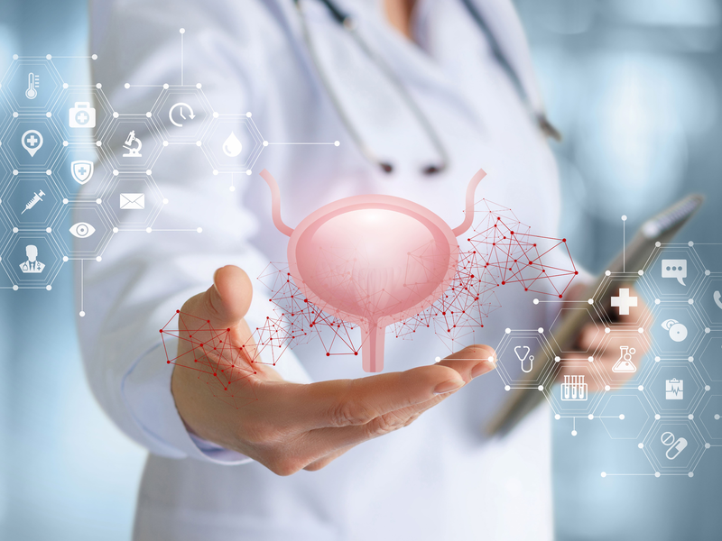 Neue Option bei Harnwegsinfekten - Foto: Adobe Stock/natali_mis über pressetext.de