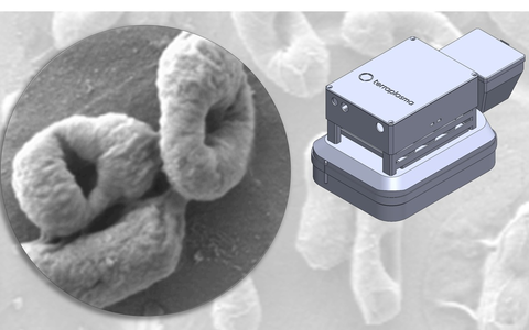 Wirksam gegen Multiresistente Erreger (MRE), Viren, Bakterien und Pilze: Aerosolunterstützte Kaltplasmatechnologie von terraplasma zur Desinfektion von Oberflächen erreicht wichtigen Meilenstein - Foto: presseportal.de