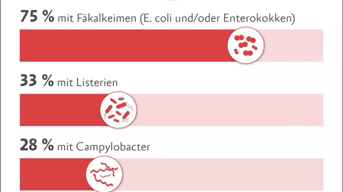 Europameister der Keime: Jedes zweite Lidl-Hühnerfleisch mit antibiotikaresistenten Krankheitserregern - Bild: presseportal.de