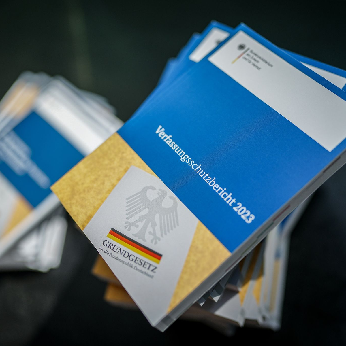 Der Verfassungsschutz hat im vergangenen Jahr einen Zuwachs sowohl bei Linksextremismus als auch im Rechtsextremismus festgestellt. - Foto: Kay Nietfeld/dpa