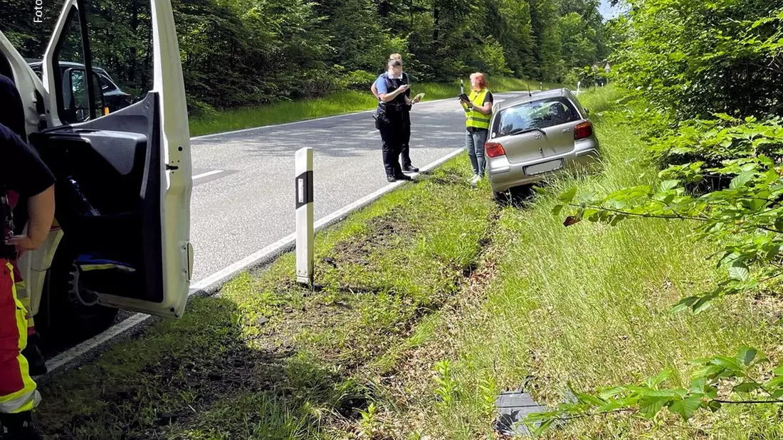 POL-PPWP: Im Graben gelandet - Bild: presseportal.de