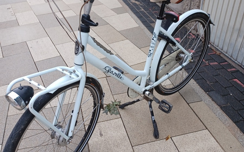POL-KLE: Kevelaer - Damenfahrrad vorgefunden / Polizei sucht Besitzer-/in - Foto: presseportal.de