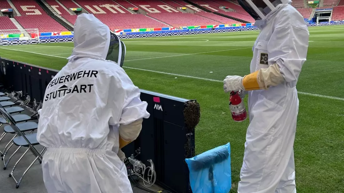 FW Stuttgart: Bienenschwarm in der Arena Stuttgart - Bild: presseportal.de