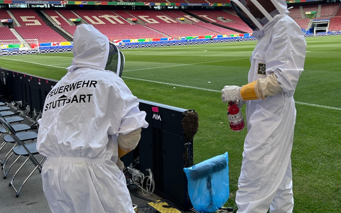 FW Stuttgart: Bienenschwarm in der Arena Stuttgart - Foto: presseportal.de