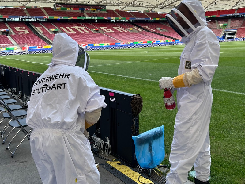 FW Stuttgart: Bienenschwarm in der Arena Stuttgart - Foto: presseportal.de