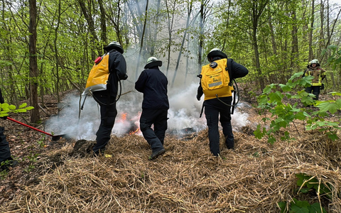 FW-EN: Waldbrandübung - Erst Theorie dann Praxis im Wald - Foto: presseportal.de