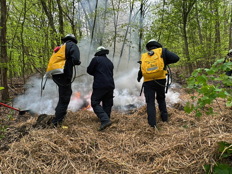 FW-EN: Waldbrandübung - Erst Theorie dann Praxis im Wald - Foto: presseportal.de