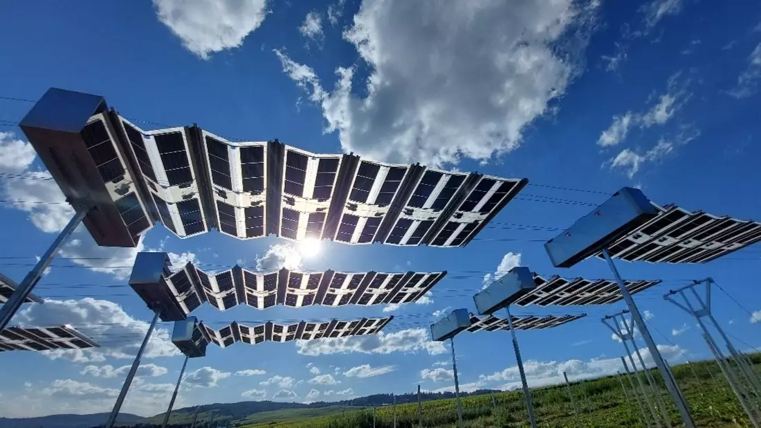 Innovative mobile Agrivoltaik Anlage VitiCULT PV mobil an der Hochschule Geisenheim in Betrieb genommen - Bild: presseportal.de