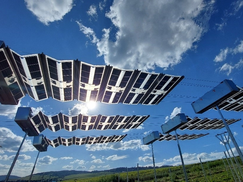 Innovative mobile Agrivoltaik Anlage VitiCULT PV mobil an der Hochschule Geisenheim in Betrieb genommen - Foto: presseportal.de