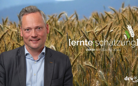Vierte DRV-Ernteschätzung 2024 / Niederschläge wirken sich nicht auf Erntemenge aus - Foto: presseportal.de