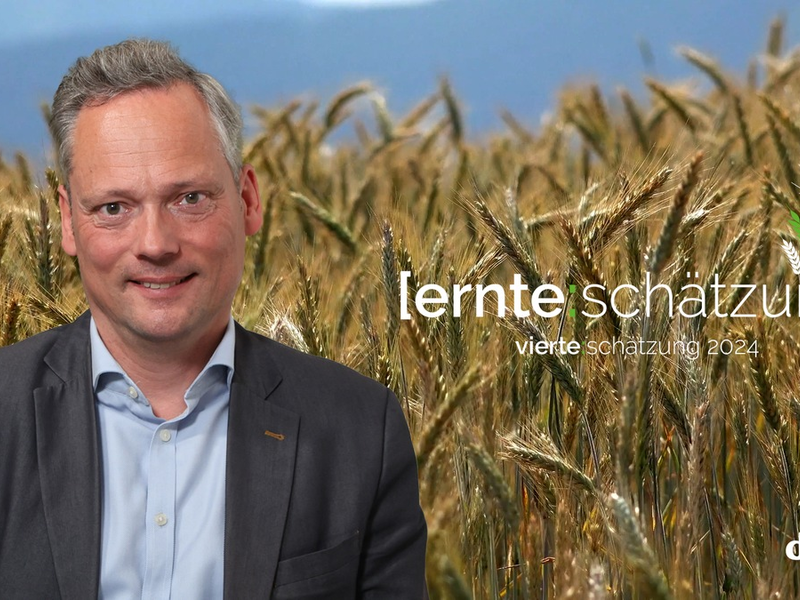 Vierte DRV-Ernteschätzung 2024 / Niederschläge wirken sich nicht auf Erntemenge aus - Foto: presseportal.de