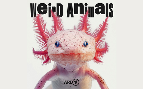 Weird Animals: neuer Podcast ĂĽber die Komik der Tierwelt in der ARD Audiothek - Foto: presseportal.de Weird Animals: neuer Podcast ĂĽber die Komik der Tierwelt in der ARD Audiothek - Foto: presseportal.de