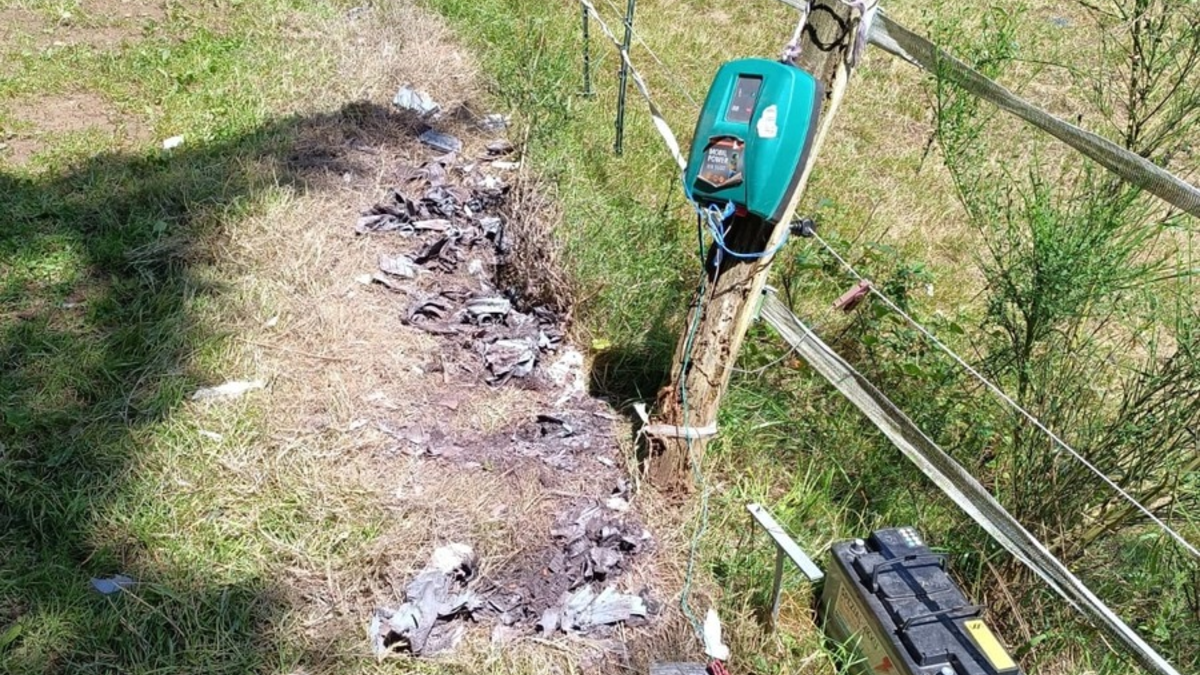 POL-PDPS: Weidezaun beschädigt - Zeugen gesucht - Foto: presseportal.de