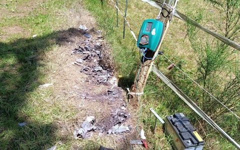 POL-PDPS: Weidezaun beschädigt - Zeugen gesucht - Foto: presseportal.de