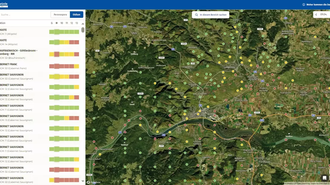 Digitales vine4cast Service schafft Planungssicherheit im Weinbau - Bild: presseportal.de