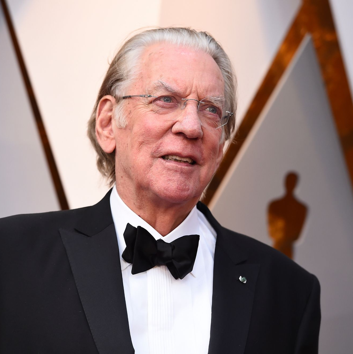 Schauspieler Donald Sutherland ist im Alter von 88 Jahren in Miami gestorben. - Foto: Jordan Strauss/Invision/AP/dpa