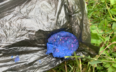 POL-SUL: Mutmaßliche Giftköder neben Fußweg ausgelegt - Foto: presseportal.de