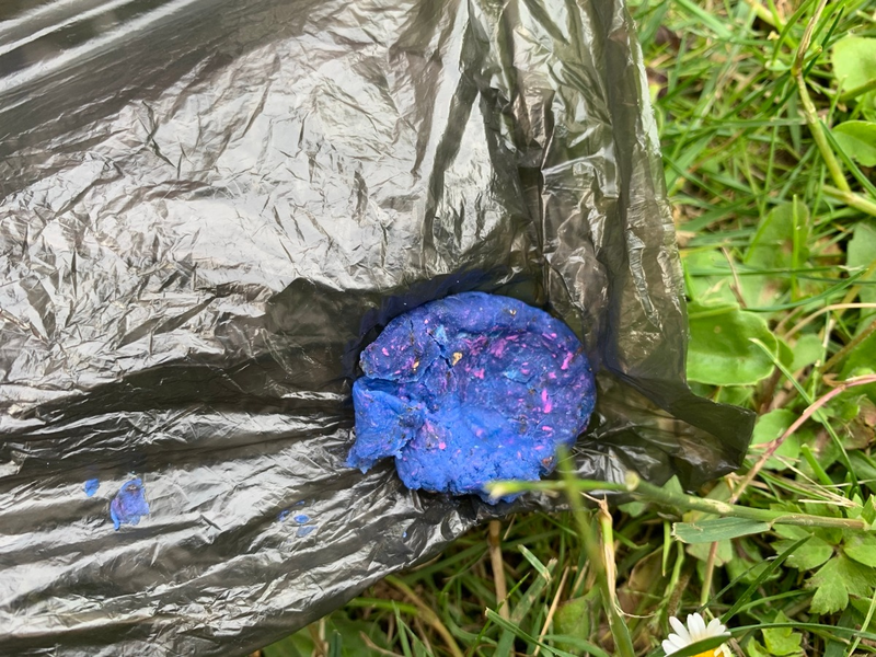 POL-SUL: Mutmaßliche Giftköder neben Fußweg ausgelegt - Foto: presseportal.de