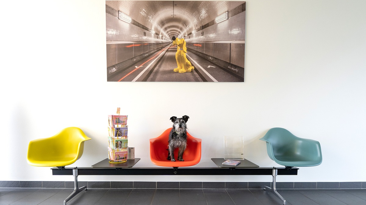 DAS FUTTERHAUS: Jeder Tag ist Bürohundetag - Foto: presseportal.de