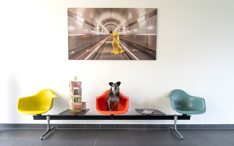 DAS FUTTERHAUS: Jeder Tag ist Bürohundetag - Foto: presseportal.de