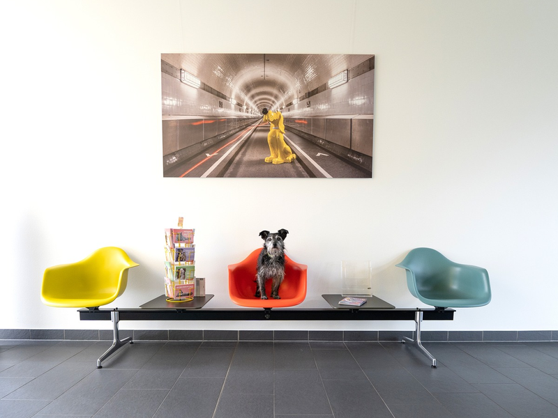 DAS FUTTERHAUS: Jeder Tag ist Bürohundetag - Foto: presseportal.de