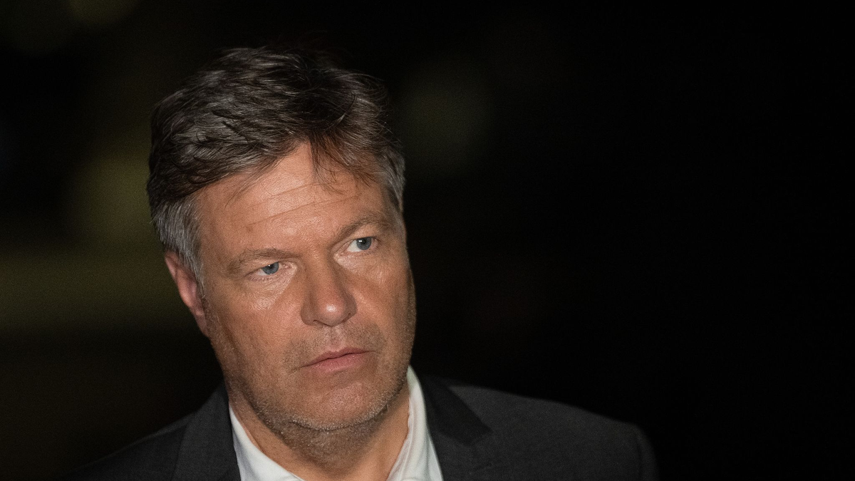 Habeck warnt vor Handelshemmnissen und der Abschottung von Märkten. - Foto: Sebastian Christoph Gollnow/dpa