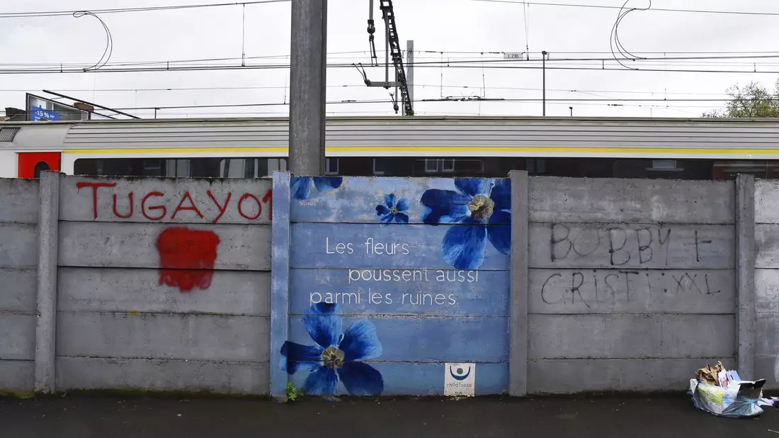 Auf dem Wandbild steht auf Französisch: «Auch zwischen den Ruinen wachsen Blumen.» - Bild: Alina Grünky/dpa