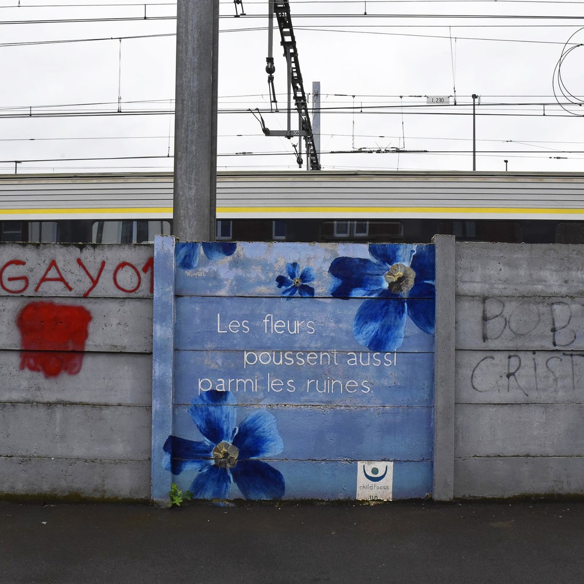 Auf dem Wandbild steht auf Französisch: «Auch zwischen den Ruinen wachsen Blumen.» - Foto: Alina Grünky/dpa
